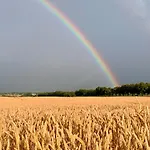 Kranichnest Neubrandenburg