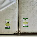 Apartman Kranichnest *