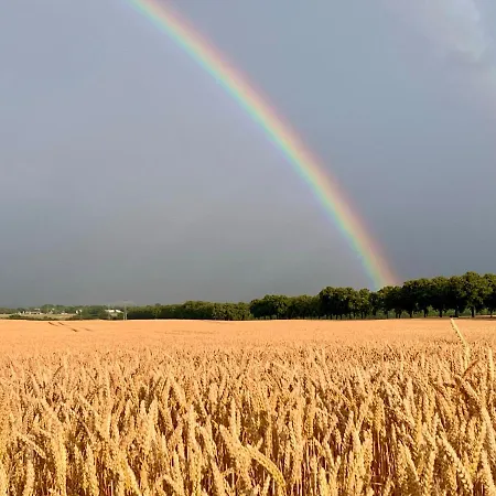 Kranichnest Neubrandenburg