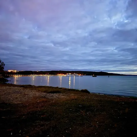 Kranichnest